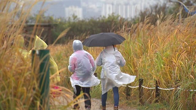 [날씨] 소형 태풍급 비바람...벼락·우박도 주의 / YTN
