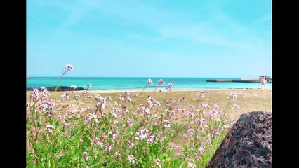 BOL4(볼빨간사춘기) _ Bom(나만, 봄)/Piano cover/Sheet