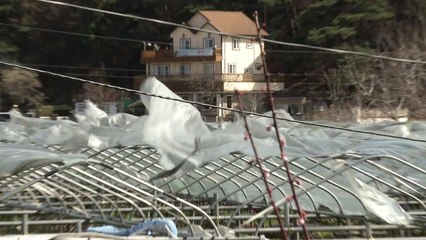 [날씨] 비 점차 그쳐...강원 동해안 강풍주의보 / YTN