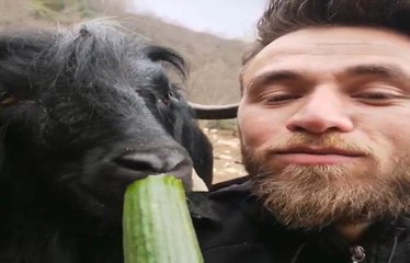Rizeli Gencin Keçileriyle Güldüren Diyaloğu