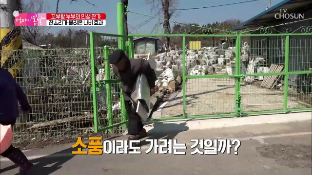 부부의 소풍날? 조상님 뵈러 산에 간 부부 [엄마의 봄날] 187회 20190414