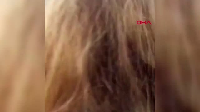 Dha Dış - Sarı Yelekliler Gösterileri 22'inci Haftasında Devam Etti