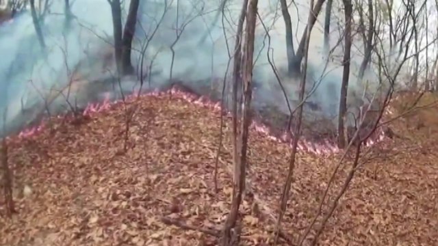 음주 뒤 산불 낸 40대 입건...신고자 행세 덜미 / YTN