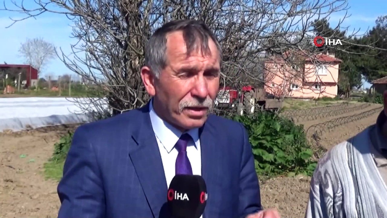 Bafra Ovası'nda örtü altı karpuz ve kavun ekimleri başladı