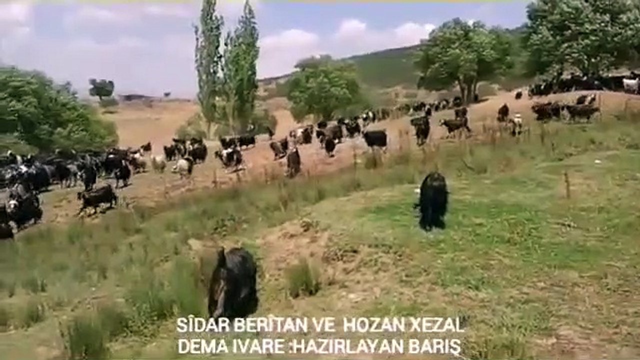 STRANE DILBİRİN  SİDAR BERİTAN VE XEZAL U