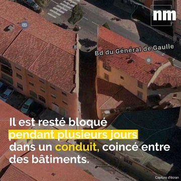 Sauvetage d'un chaton, Games of Thrones, Dossier Médical Partagé: voici votre brief info de dimanche après-midi