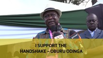 I support the handshake - Oburu Odinga
