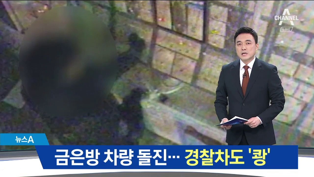금은방 돌진 절도범, 경찰차도 ‘쾅’…사흘 만에 검거