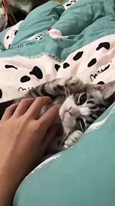 So comfortable.Donnot stop.Please go on.