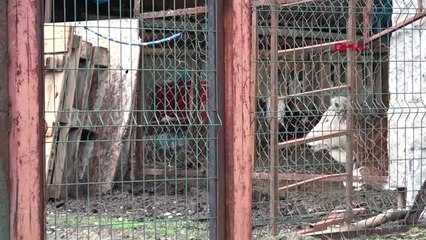 Karabük Besici Kkka Hastalığından Öldü, 7 Aylık Bebeğinin Tedavisi Sürüyor