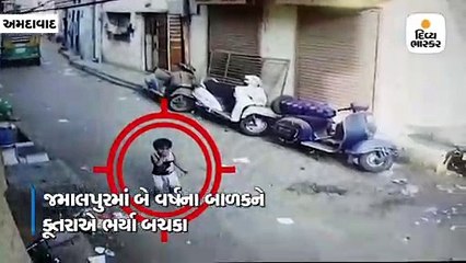 જમાલપુરમાં બે વર્ષના બાળકને કૂતરાએ બચકા ભર્યા, હોસ્પિટલમાં ખસેડવામાં આવ્યો