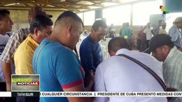 Guatemala: Demandan cultivo de palma en Ixcán