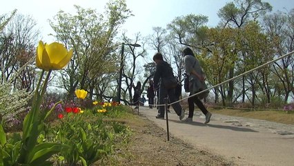 [날씨] 출근길 쌀쌀, 낮 따뜻...대기 질 양호 / YTN