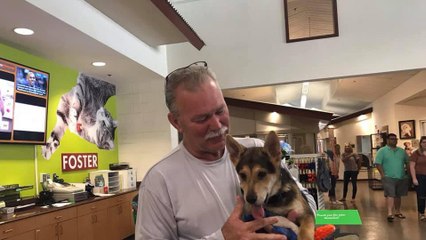 Charleston Firefighter Adopts Puppy He Pulled from Pile of Rocks