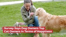 Dog Lovers May Be Happier Than Cat Owners Overall