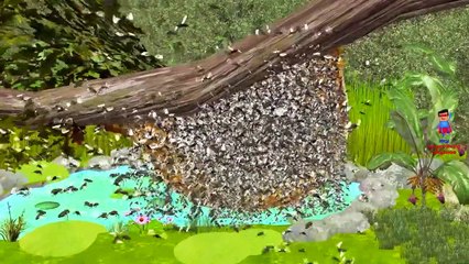 Funny Animal Sing Johny Johny Yes Papa Nursery Rhymes Songs For Kids | Best Cartoon Movies