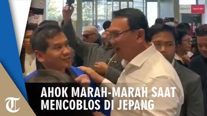 Video Ahok Marah-marah saat Mencoblos di Jepang karena Surat Suara