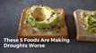Important Foods That Are Actually Causing Water Shortages