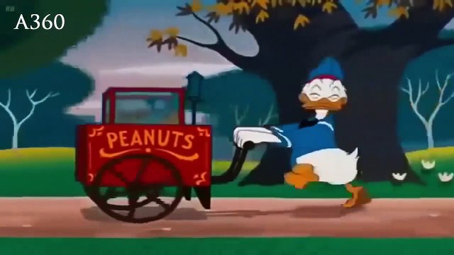 Donald Duck & Chip and Dale Cartoons || Pluto, Daisy Duck, Goofy Mickey Mouse Full Episodes