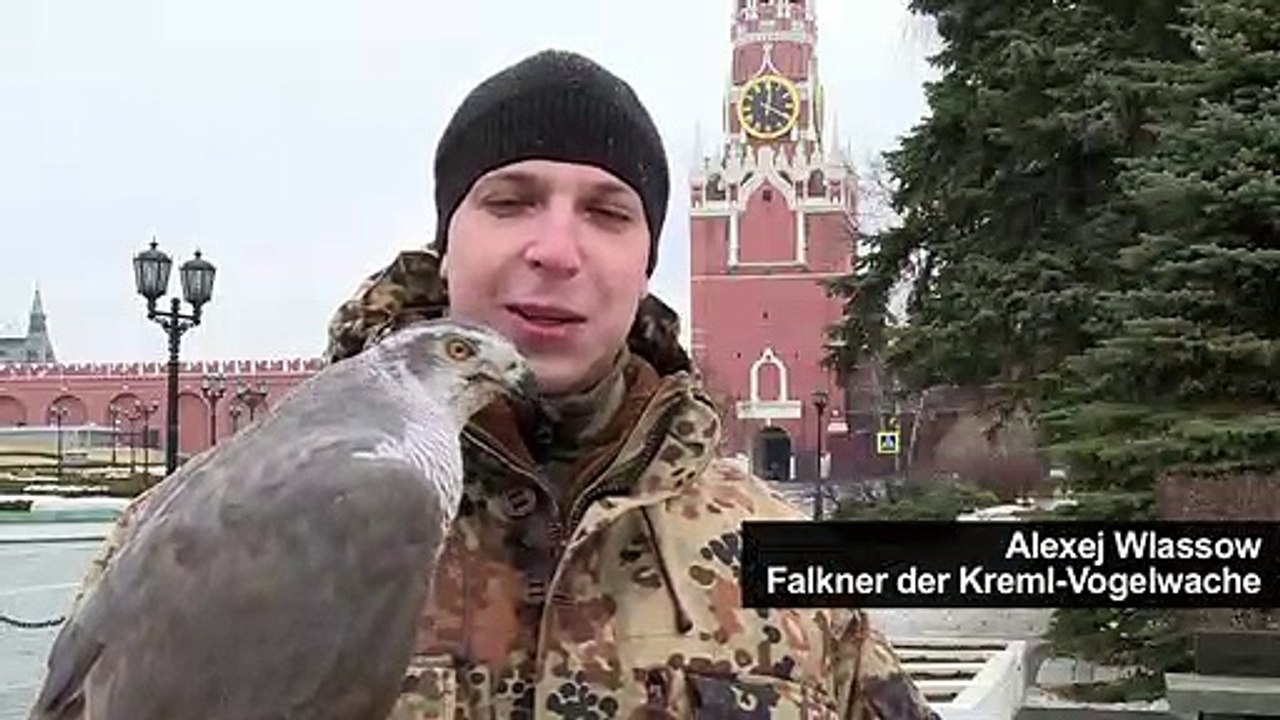 Eine Vogelarmee für den Kreml