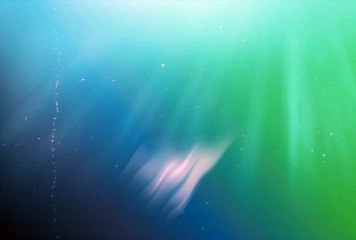 Brand Identity Design for Shipping Company