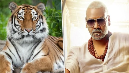 Raghava Lawrence Warning: ராகவா லாரன்ஸ் திடீர் அறிக்கை.. என்ன சொன்னார் தெரியுமா?- வீடியோ