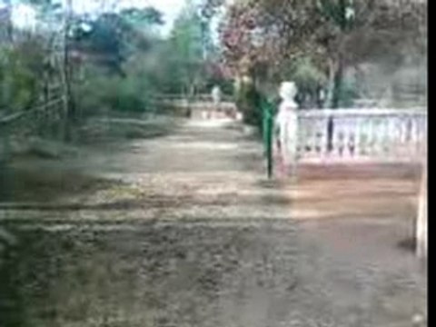 Kenny saut a nans les pins