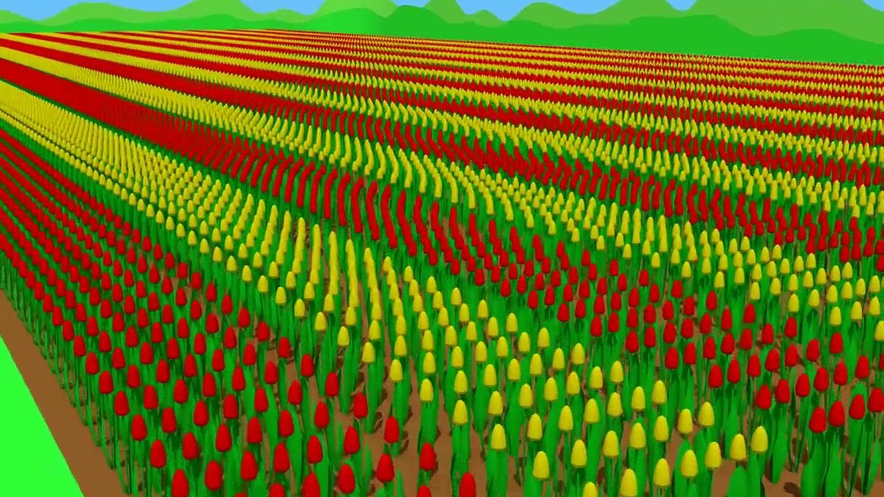 Le printemps Blue #Tractor | The Story of the Tulips - Planting est Harvest | Tracteur de Collection de Tulipes