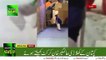 PTI MNA Alamgir Khan Playing Cricket - alimgir playing cricket