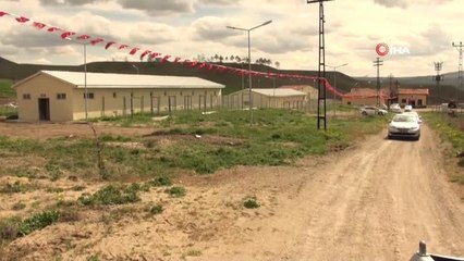 Yozgat'ta 10 Üreticiye 500 Kaz Palazı Dağıtıldı