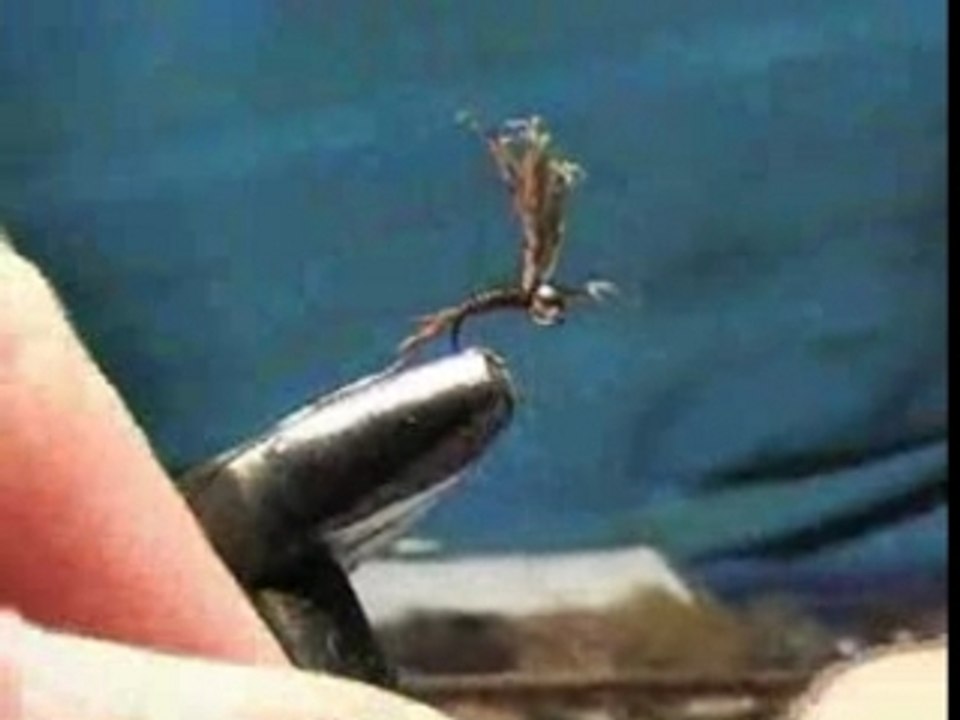 Nymphe pheasant tail casquée
