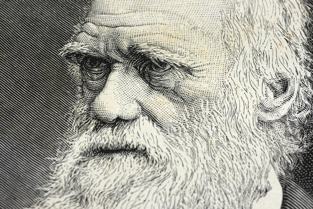 Muere Darwin (Sarah)