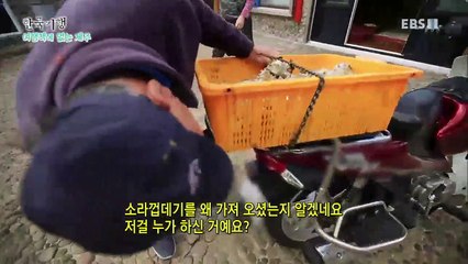 한국기행 - Korea travel_여행책에 없는 제주 3부- 그 섬에 청보리 일렁이면_#002