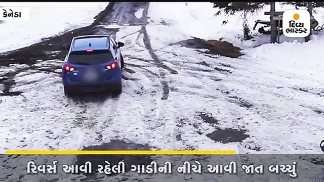 મહિલા ગાડી રિવર્સ લઈ રહી હતી,ડોગીએ આંખનાં પલકારામાં બચાવી લીધો બચ્ચાંનો જીવ