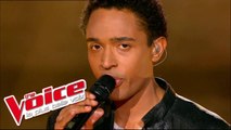 Johnny Hallyday - Le Pénitencier | Stéphan Rizon | The Voice France 2012 | Prime 3