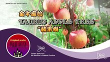 Taurus apple tree