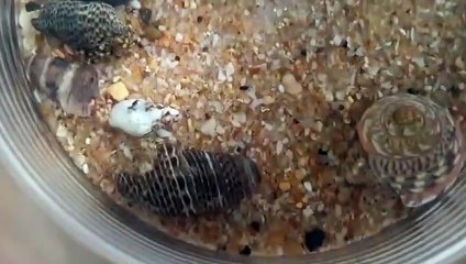 강서출장안마 -후불100%ョØ7Øc7575zØØ69｛카톡MGM1472}강서전지역출장마사지샵'예약'강서출장qc안마es강서출장안마 cos여3강서출장마사지황형στυ강서콜걸