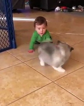 Quand bébé rencontre son nouvel ami, un adorable chiot tout poilu. Voici ce que ça donne !