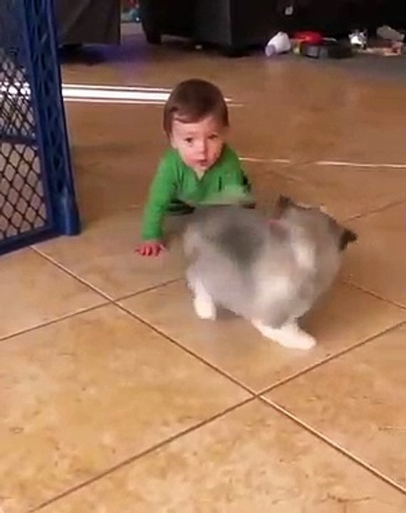 Quand bébé rencontre son nouvel ami, un adorable chiot tout poilu. Voici ce que ça donne !