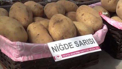 Türkiye'ye 2 Tane Daha "Milli Patates" Çeşidi Tescillendi