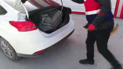 Van Alem ve İmla'lı Aramada 81 Kilo Esrar Ele Geçirildi