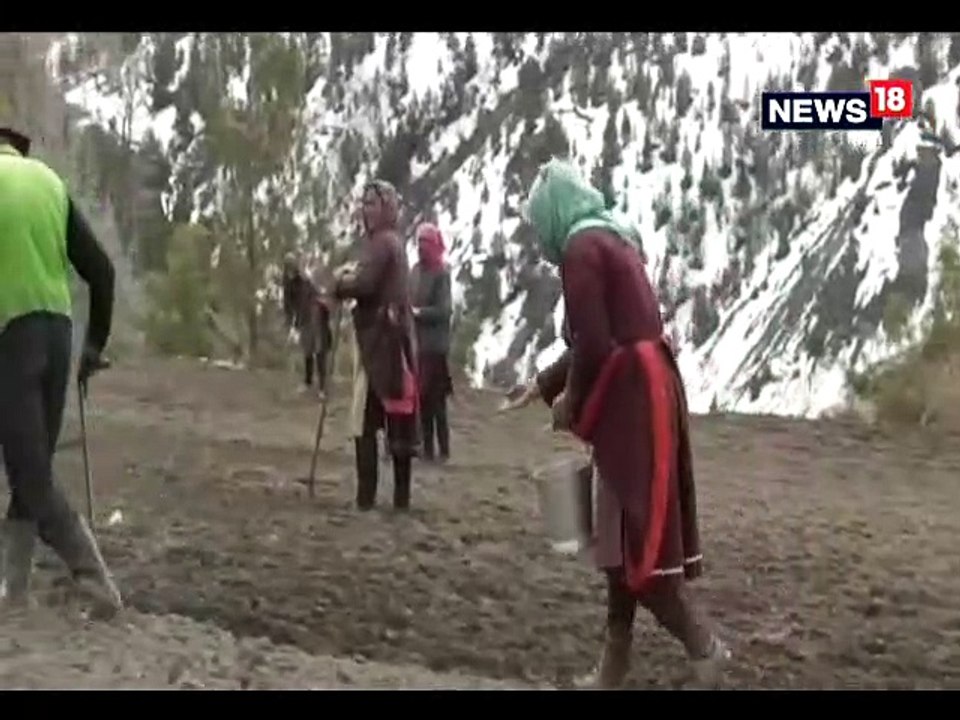 लाहौल स्पीति घाटी में सात महीने बाद किसानों ने किया खेतों का रुख