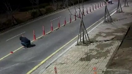 중앙선 시선 유도봉 무단 훼손한 상인 검거 / YTN