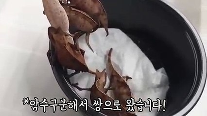 영도구출장안마 -후불100%ョØ7Øa73Ø1g9649｛카톡KTT010｝영도구전지역출장마사지샵'예약'영도구출장qc안마es영도구출장안마 cos여3영도구출장마사지황형ヮワヰ영도구콜걸