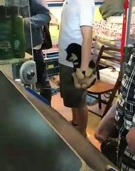 Son adorable petit chiot ne veut pas se détacher de lui. Trop craquant !