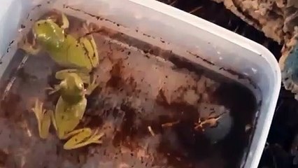 진천출장안마 -후불100%ョØ7Øc7575zØØ69｛카톡MGM1472}진천전지역출장마사지샵'예약'진천출장qc안마es진천출장안마 cos여3진천출장마사지황형スズセ진천콜걸