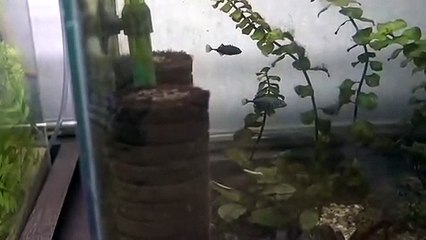 성산구출장안마 -후불100%ョØ7Øq5222w78Ø2｛카톡114114｝성산구전지역출장마사지샵'예약'성산구출장qc안마es성산구출장안마 cos여3성산구출장마사지황형ぇえぉ성산구콜걸