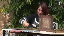 Papier japonais : un savoir-faire ancestral développé dans l'Hérault