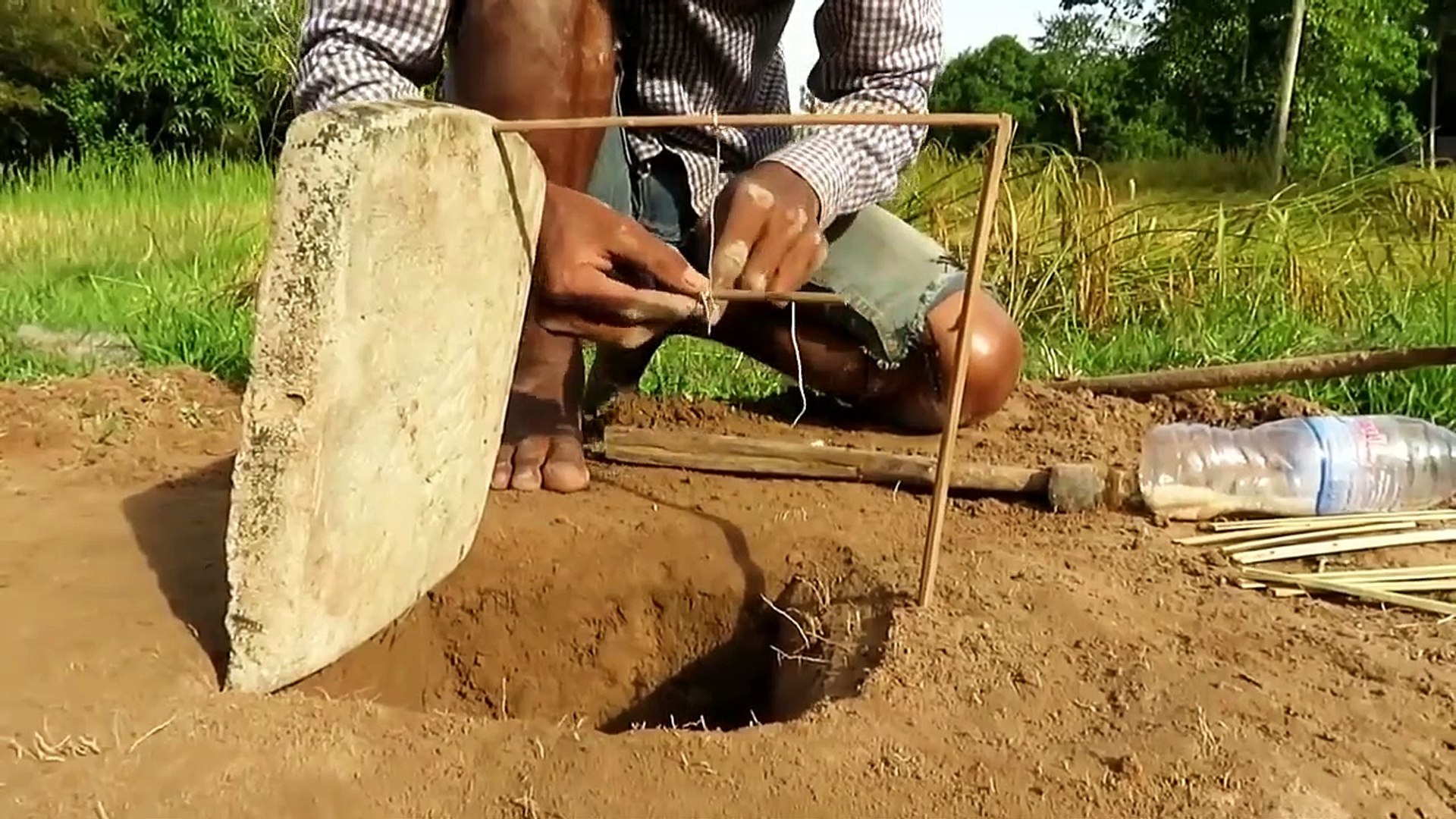 Easy Bird Trap Simple Diy Creative Bird Trap Video Dailymotion