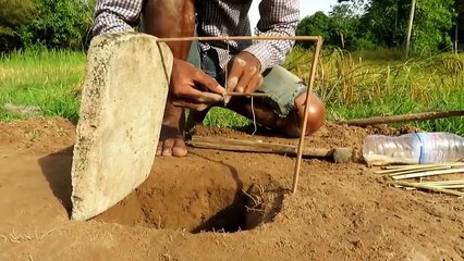 Easy Bird Trap - Simple DIY Creative Bird Trap